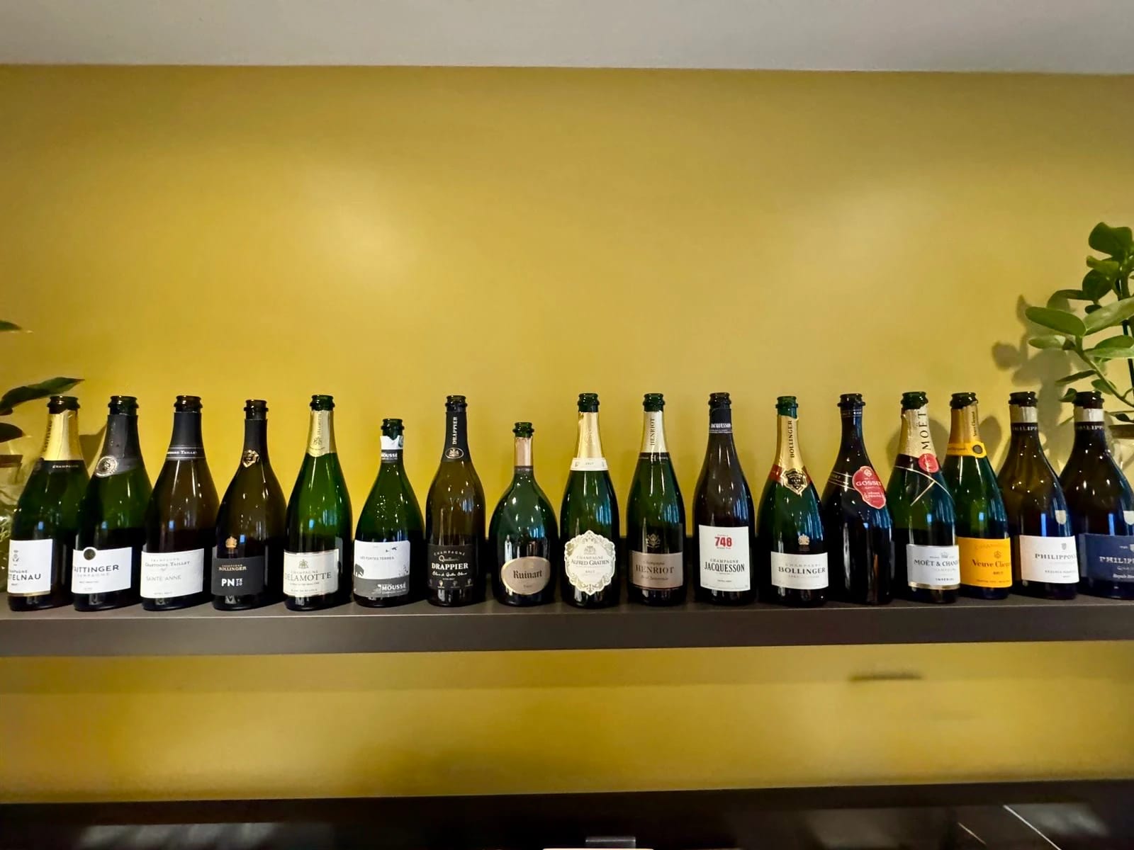 Champagne tasting