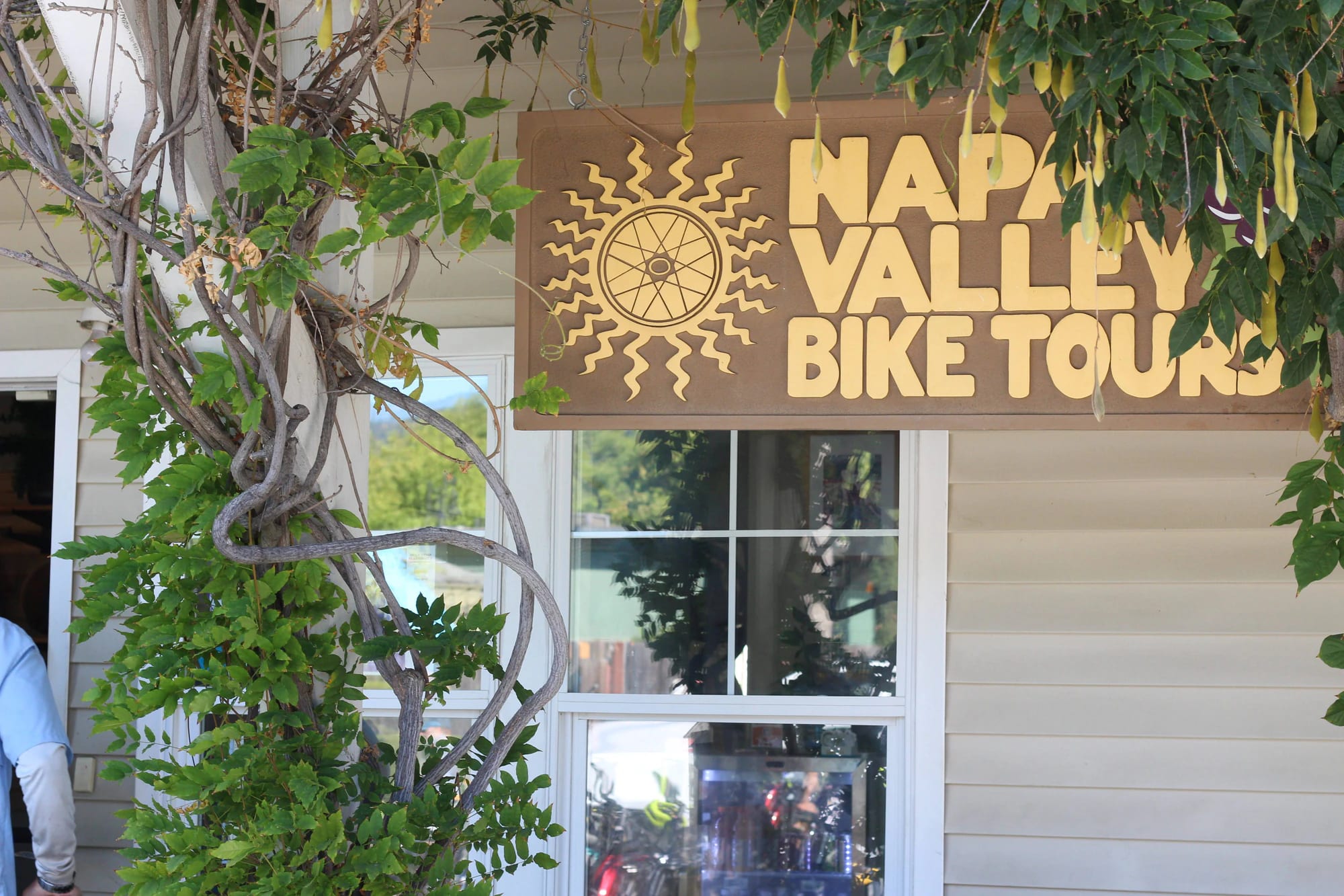 Napa bike tour