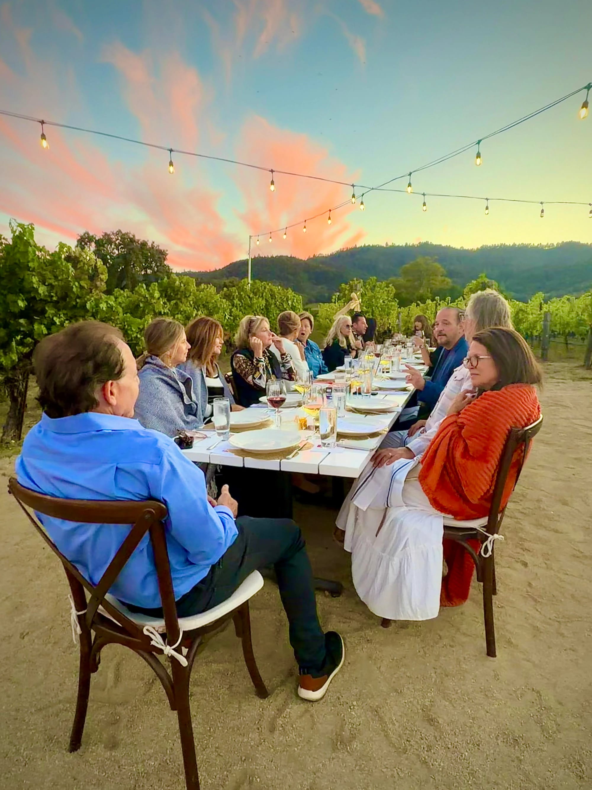 Guests sharing dinner at a vineyard