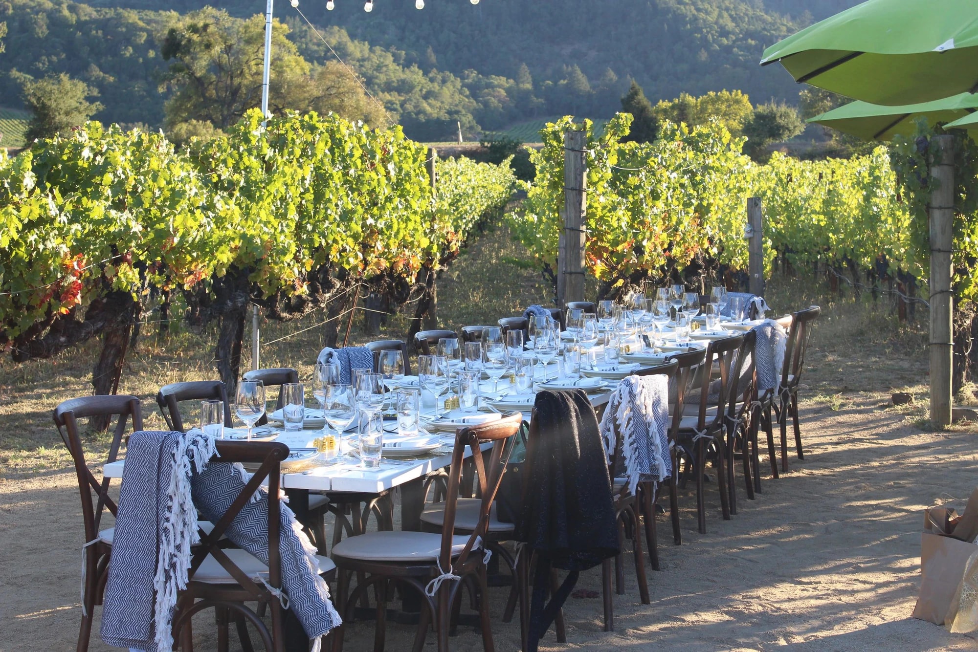 A long table set for dinner between rows of vines at golden hour, strung with lights